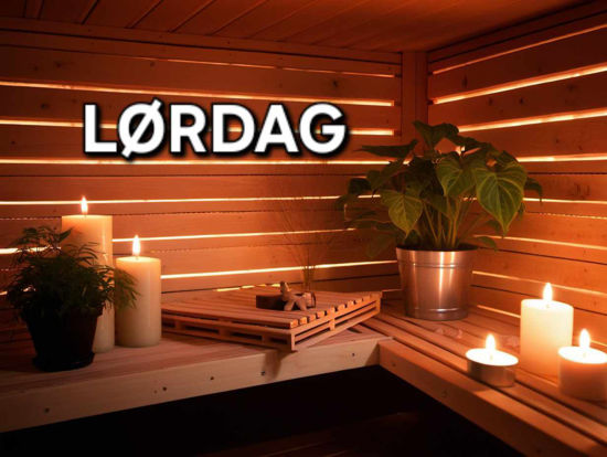 Billede af Saunagus - 29.03.2025 (Lørdag) kl. 15.00